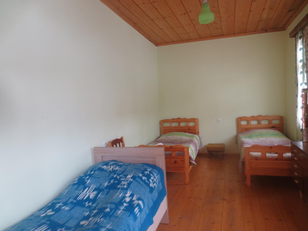 Irma Beso & Aleko Khergianis Guesthouse Mestia Exteriér fotografie