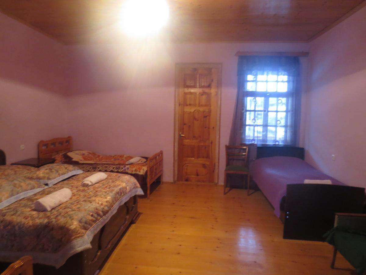 Irma Beso & Aleko Khergianis Guesthouse Mestia Exteriér fotografie