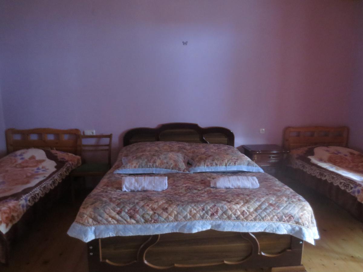 Irma Beso & Aleko Khergianis Guesthouse Mestia Exteriér fotografie